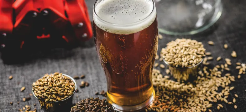  啤酒發(fā)酵過程大揭秘！vAPCI+CMS 聯(lián)用新技術(shù)如何快速捕捉風味密碼？